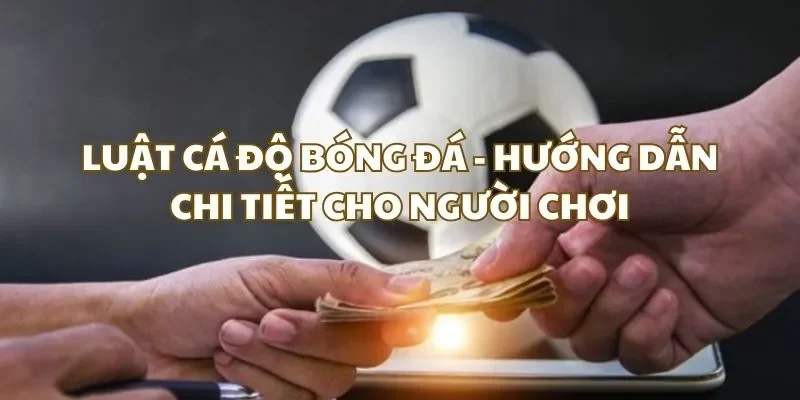 Cá độ bóng đá hợp pháp chỉ thí điểm chơi sai nơi dễ vi phạm pháp luật
