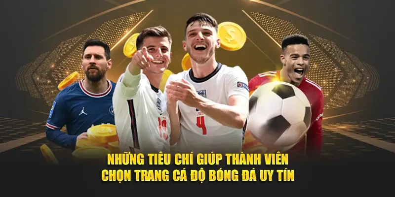 Chọn kèo thơm hôm nay theo đám đông chưa chắc đúng